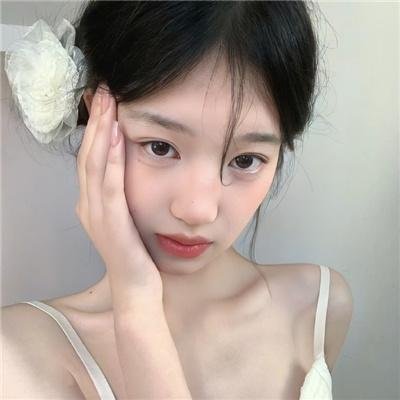 年度鸟事